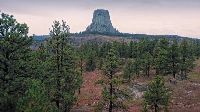 Aerial flying towards Devils Tower National Monument & pine forest, Wyoming, USA