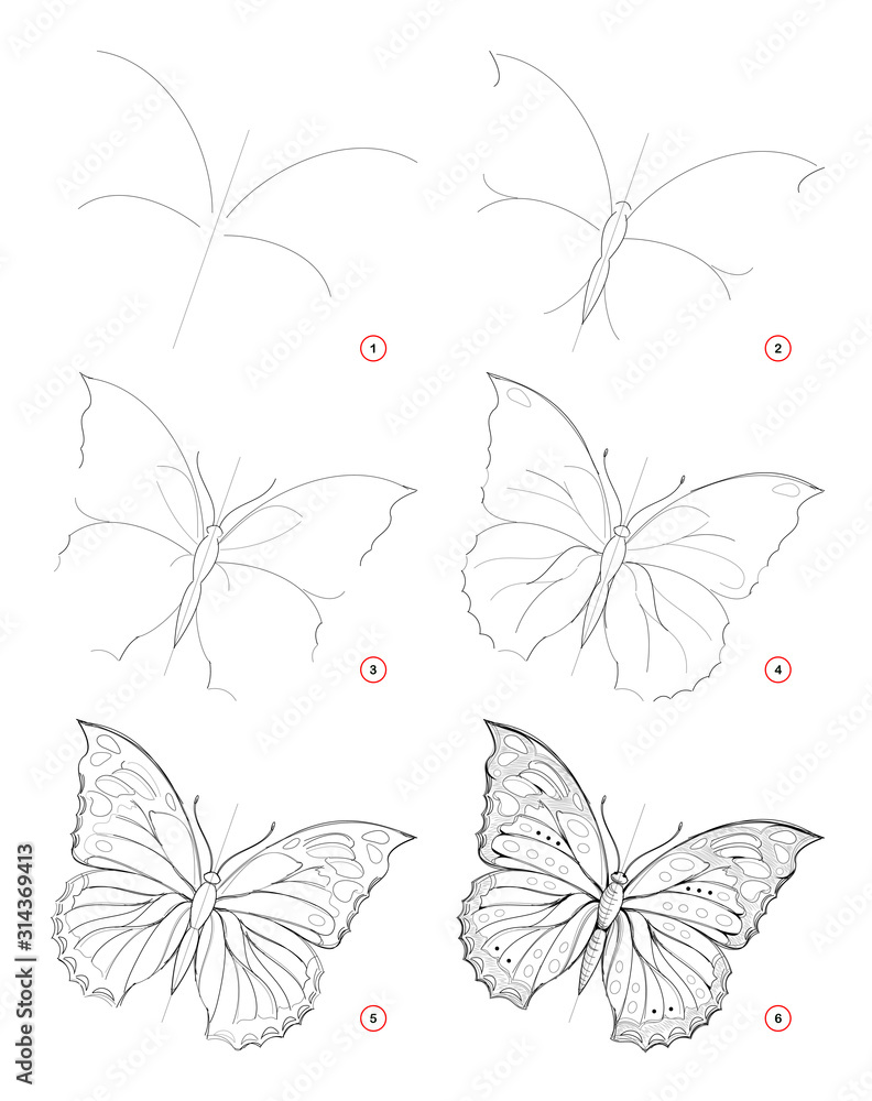 Wall mural how to draw sketch of beautiful fantastic butterfly. creation step by step pencil drawing. education