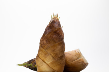 タケノコ　白背景