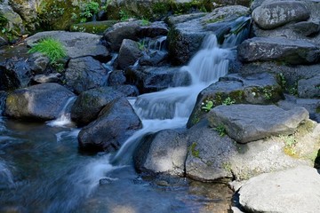 名水　白川水源の情景＠阿蘇、熊本