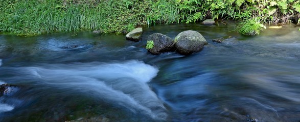 名水　白川水源の情景＠阿蘇、熊本