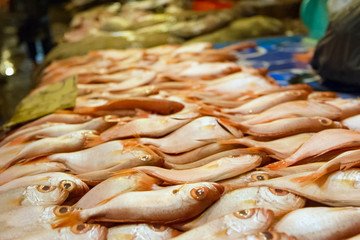 Raw fish at the store counter. lot of sea fish.