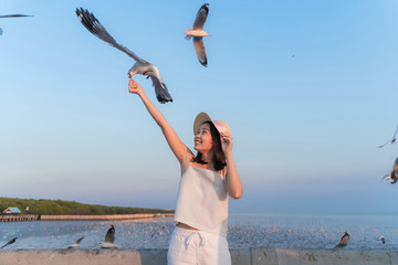 Asian enjoy woman hand holding a food and Seagulls bird flying down to eat from the hand feeding with blue sky background.
