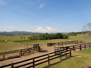 Rural landscape with fence