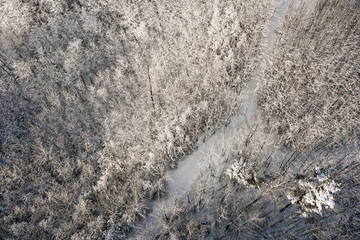 Aerial view of wood covered by fresh snow, winter season. Late afternoon light