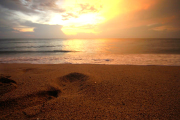 San Pancho, Nayarit, Mexico. Trip