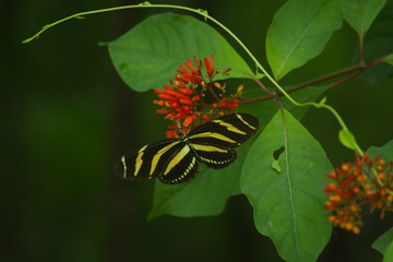 San Pancho, Nayarit, Mexico. Trip