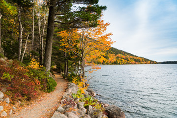 A hiking trail curves along the edge of a lake through a forest in brilliant fall colors in Acadia...