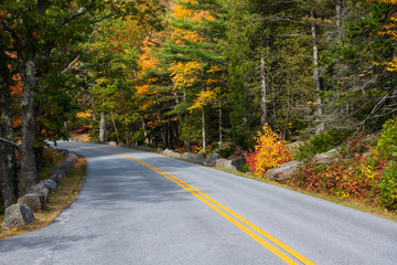 Highway curves through a forest in brilliant fall colors in Acadia National Park