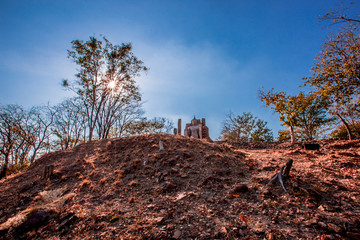 Natural background during the season when the leaves or trees change color according to the season,...