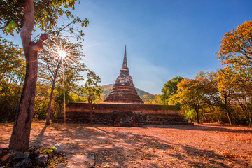 Natural background during the season when the leaves or trees change color according to the season, the sun is shining and the wind blows blurred, the cool air during the adventure trekking