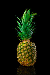 Ripe pineapple with green leaves casting reflection on a dark surface isolated on black background