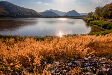 The blurred panoramic nature background of sunlight hitting the lake's surface, grass and wind...