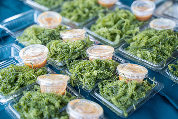 green sea grapes seaweed for eat
