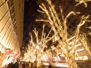  	表参道のクリスマスイルミネーション