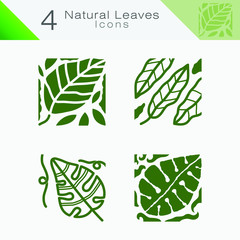 Several variations of leaves, vector illustration for your business