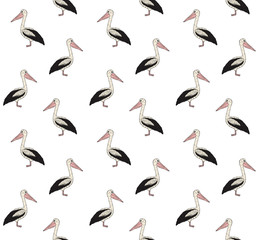 Vector seamless pattern of colored hand drawn doodle sketch pelican isolated on white background