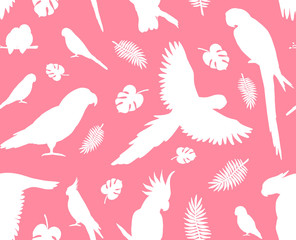 Vector seamless pattern of white parrots silhouette isolated on pink background © Sweta