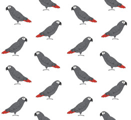 set of different birds