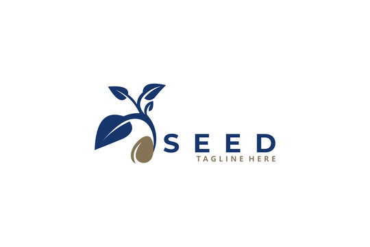 seed logo icon vector isolated