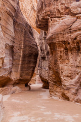 Narrow gorge The Siq, entrance to the ancient city Petra, Jordan