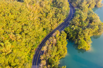 road with forest in Sun Moon Lake