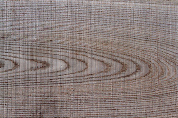 Fototapeta na wymiar elm wood texture 1