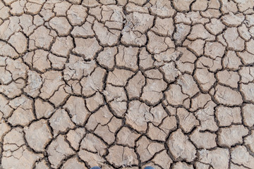 Background of the dried mud cracks