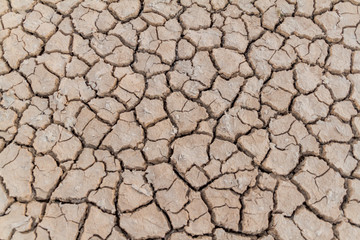 Background of the dried mud cracks