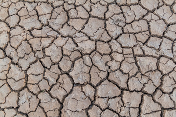 Background of the dried mud cracks