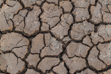 Background of the dried mud cracks