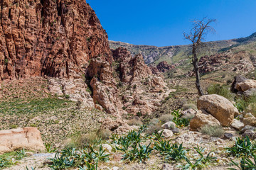 Wadi Dana canyon in Dana Biosphere Reserve, Jordan