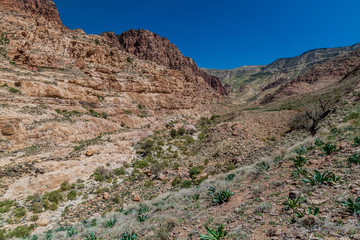 Deep Wadi Dana canyon in Dana Biosphere Reserve, Jordan