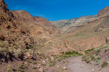 Road in Wadi Dana canyon in Dana Biosphere Reserve, Jordan