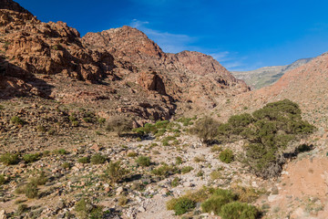 Fototapeta na wymiar Wadi Dana canyon in Dana Biosphere Reserve, Jordan
