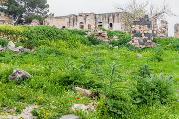 Fototapeta na wymiar Ancient ruins of Umm Qais, Jordan