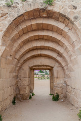 Fototapeta na wymiar Gate of the Hippodrome ruins in Jerash, Jordan