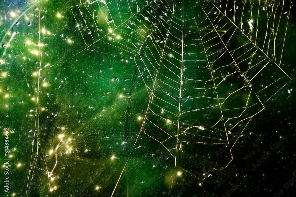 Poster abstract image of a spider web