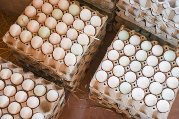Fresh eggs white duck egg box - produce eggs fresh from the farm organic