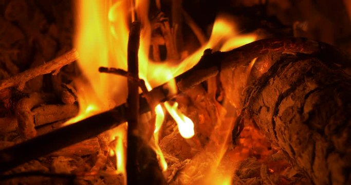 Close up bonfire burning tree branch 4k fire background footage