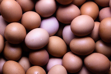 Brown chicken raw eggs background