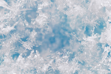 Background from crystal clear real snowflakes in blue and turquoise shades in macro. Christmas and New Year winter background of natural ice snowflakes close-up.