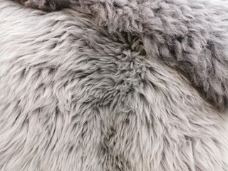 Fur rug, the surface of the sheepskin. Gray fur with a long NAP. A feeling of warmth and softness.