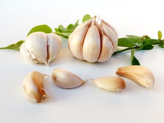 Garlic and green leaf