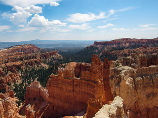 Red rock landscape in Bryce Canyon National Park with pine trees on a sunny day 
