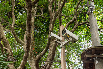 security camera systems australia in a park watching people