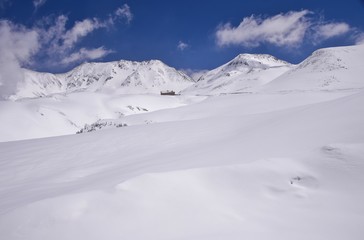 Spring scenery in Tateyama alpine in Toyama