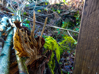 fishing nets and ropes