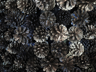 close up of dry Pine cones for background