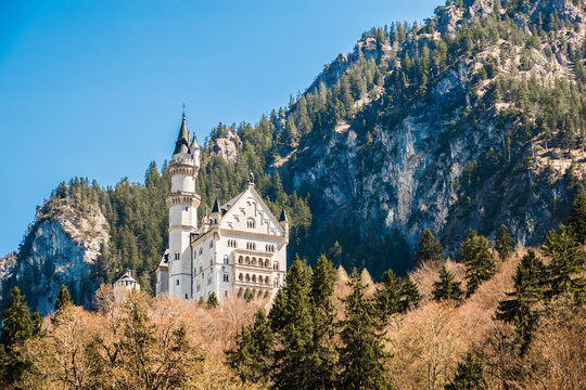 Looking the castle